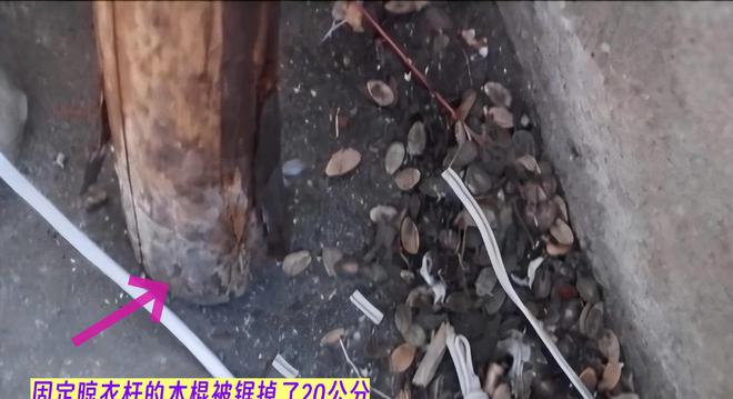 江西案件：妻子取天线万谋害妻子AG旗舰赞助马竞联赛2017年